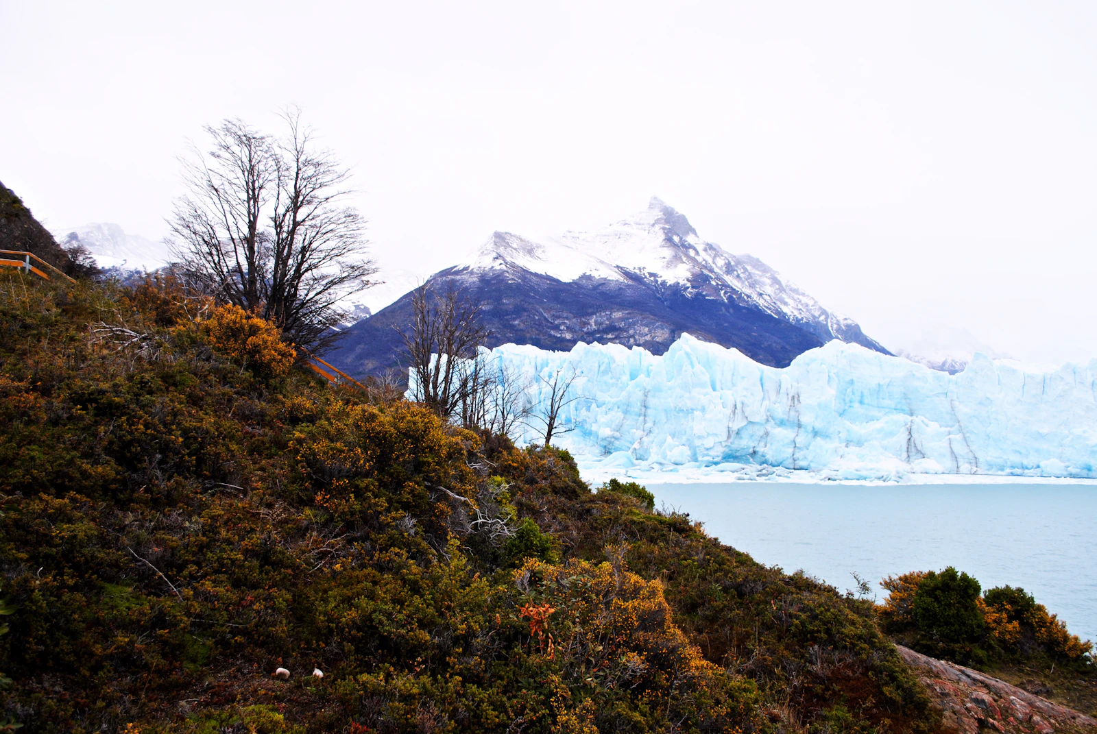 El Calafate, Argentina photo 29 by Hernan Lucio