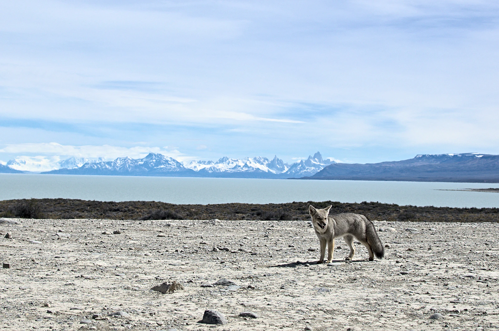 El Calafate, Argentina photo 8 by Aquiles Carattino