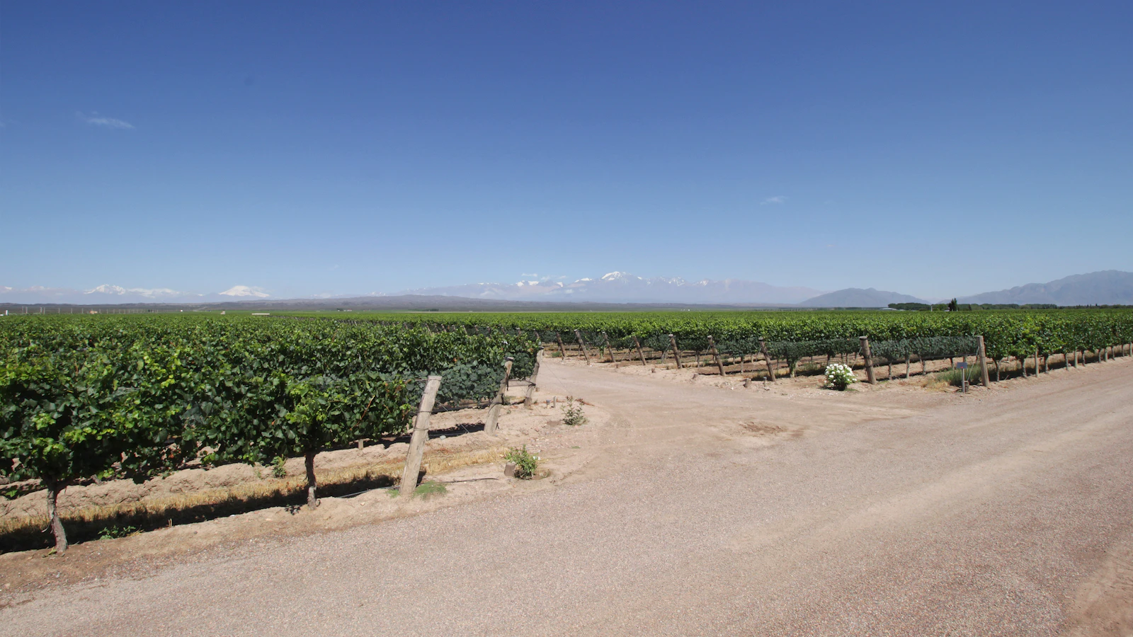 Mendoza, Argentina photo 27 by celso costa