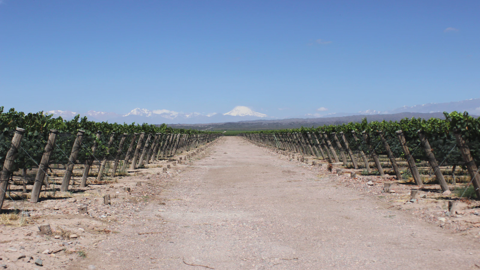 Mendoza, Argentina photo 12 by celso costa