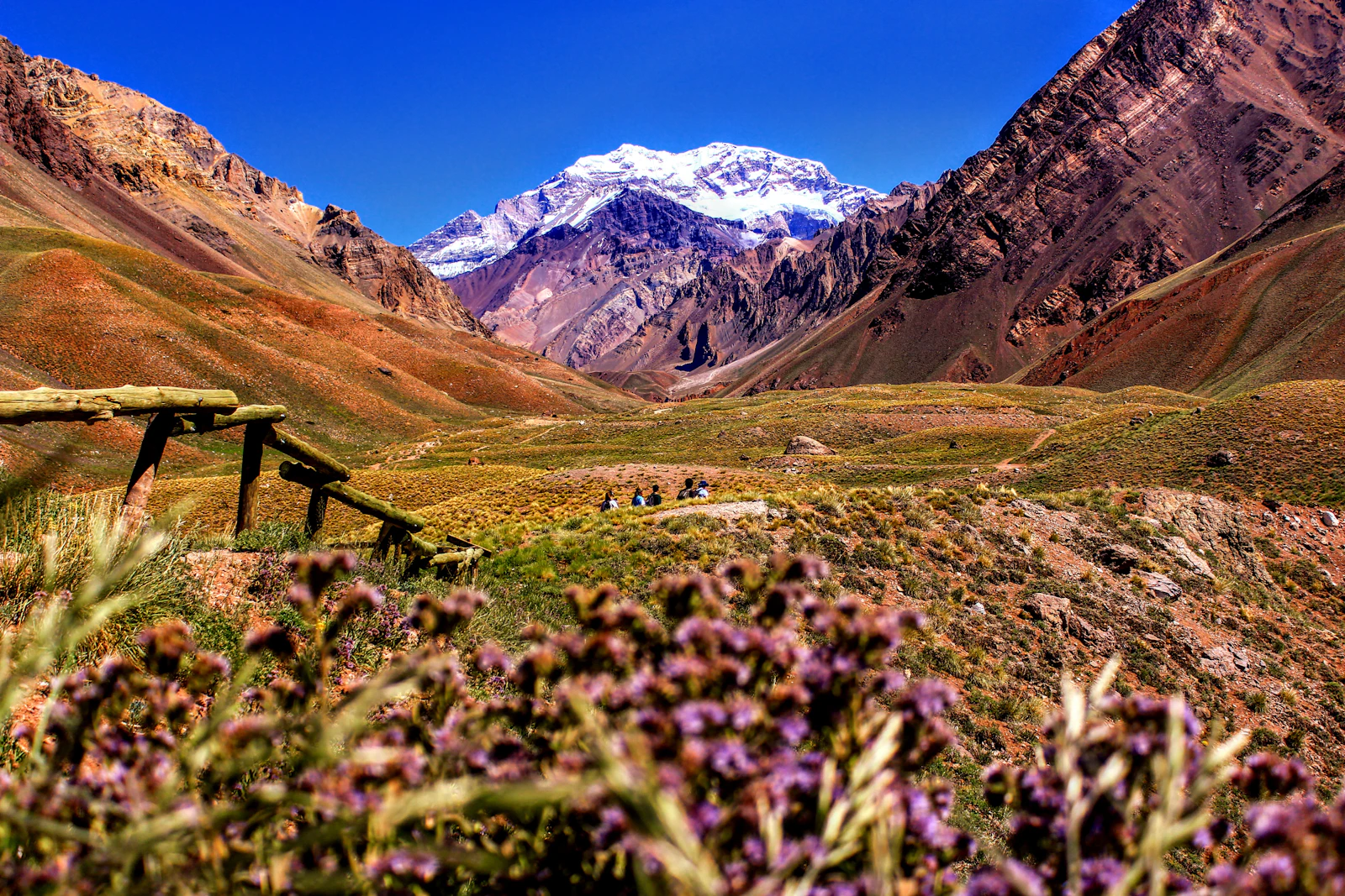 Mendoza, Argentina travel photo