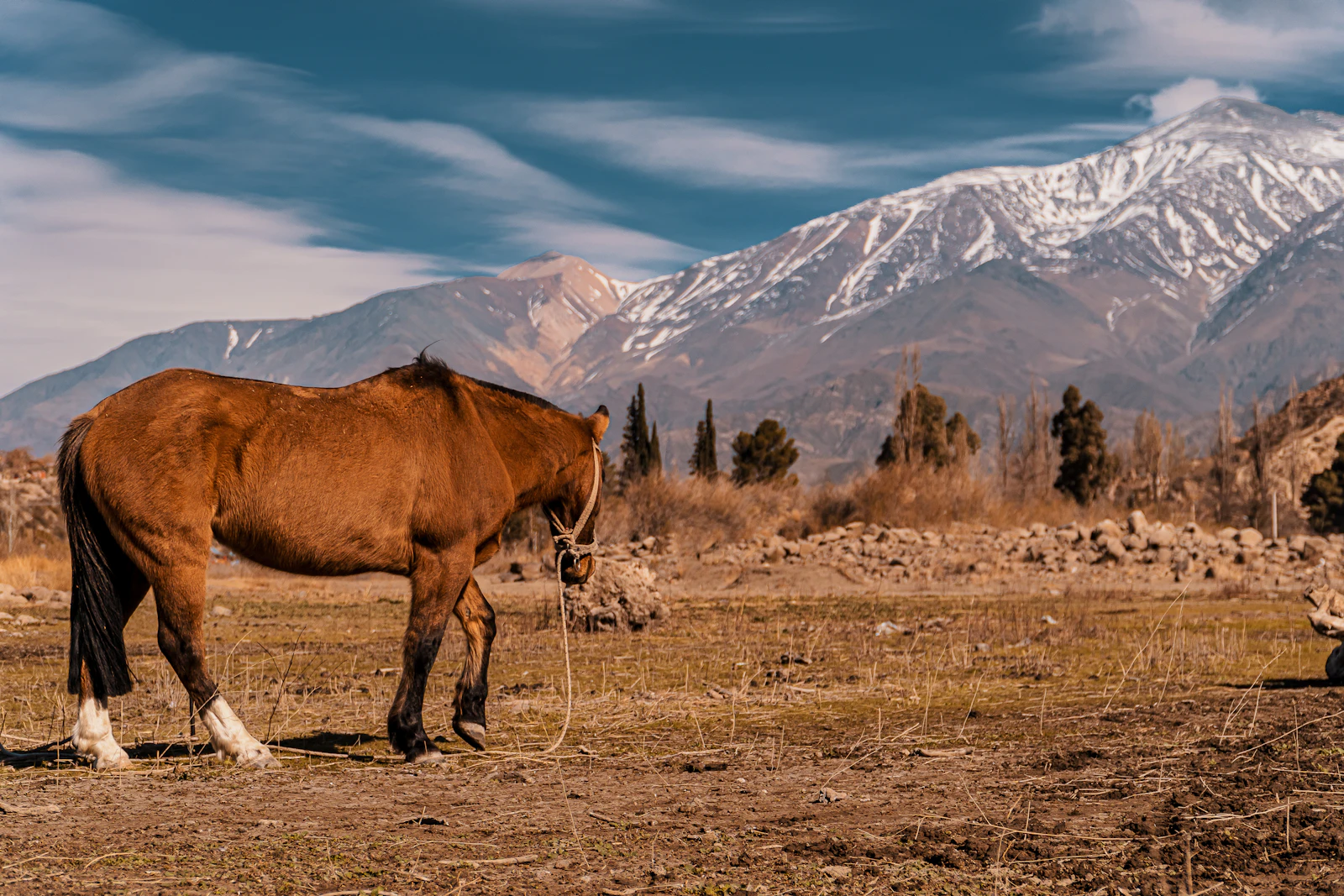 Mendoza, Argentina photo 8 by Rafael Hoyos Weht