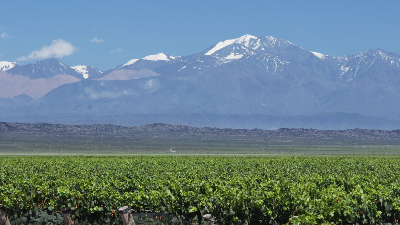 Mendoza, Argentina photo 4 by celso costa