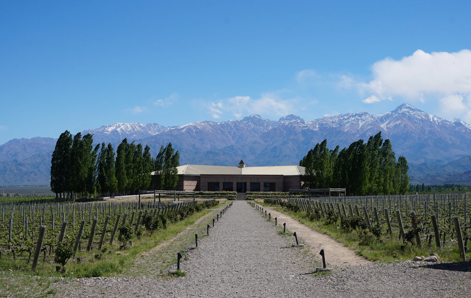 Mendoza, Argentina photo 3 by Matt Broch