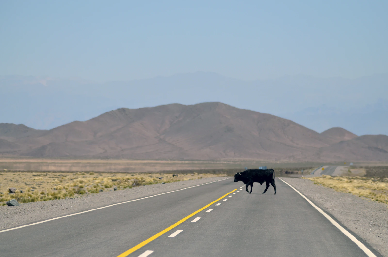 Salta, Argentina photo 24 by Agustín Lautaro