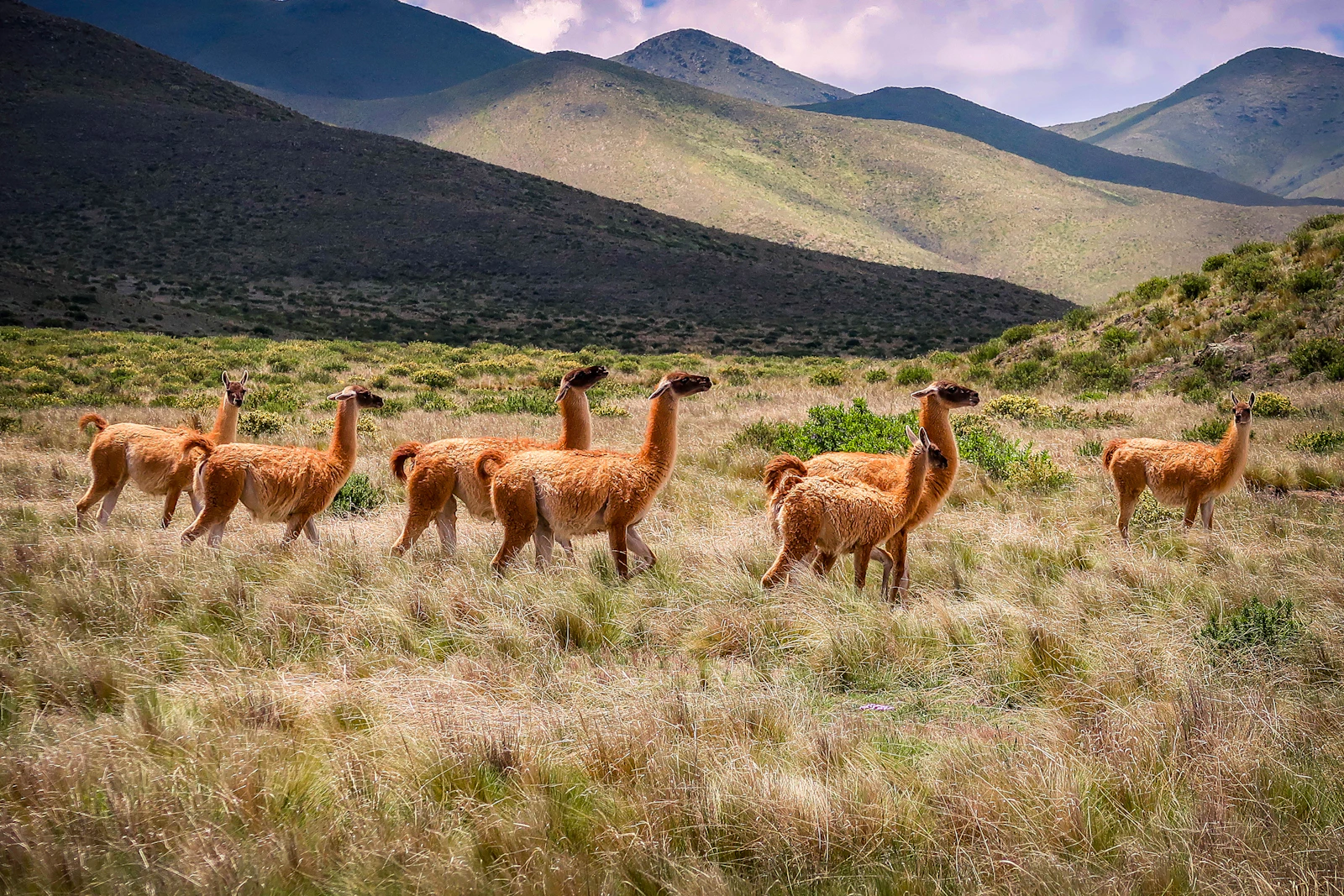 Salta, Argentina photo 9 by Hector Ramon Perez