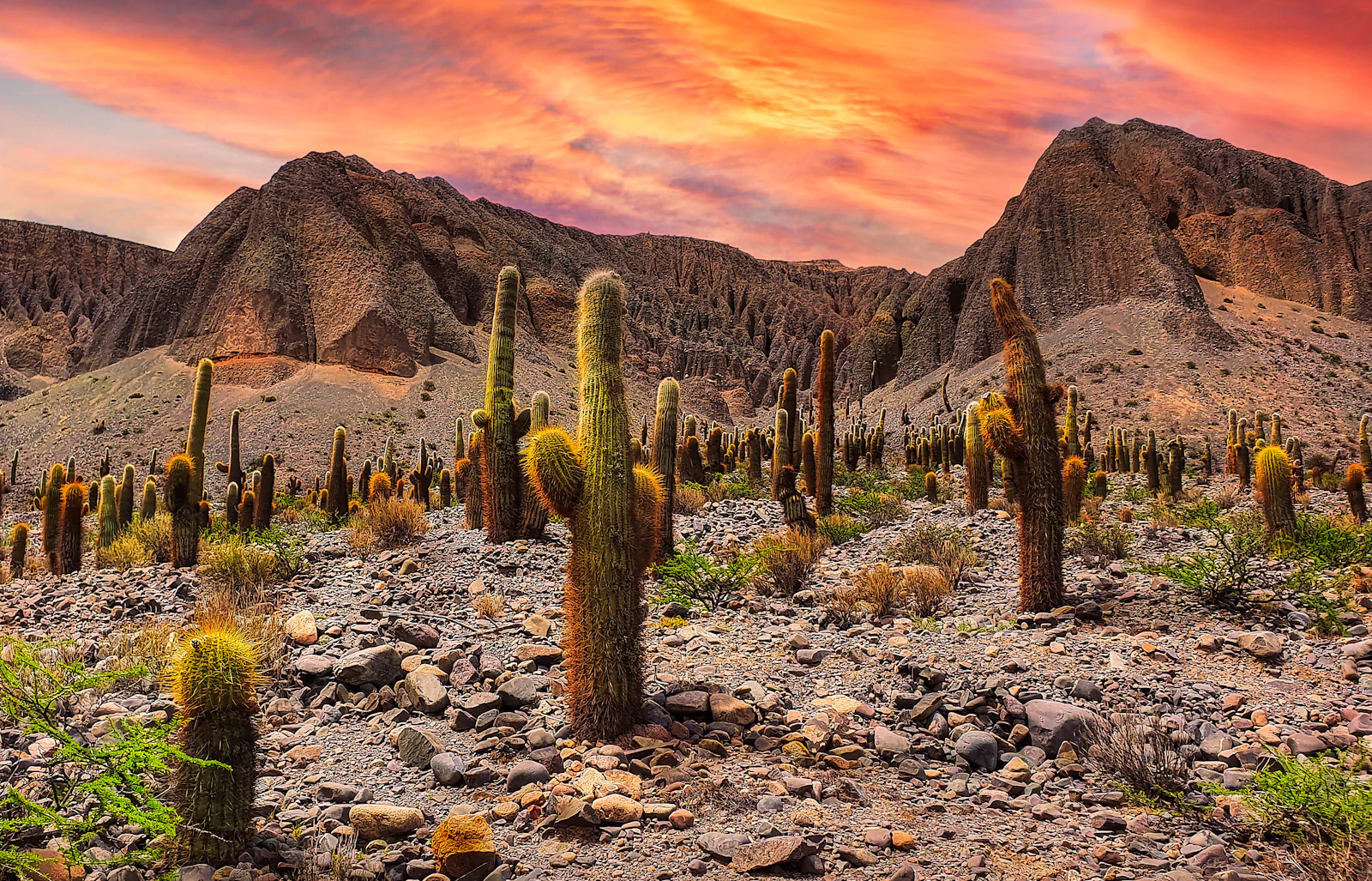 Salta, Argentina photo 3 by Hector Ramon Perez