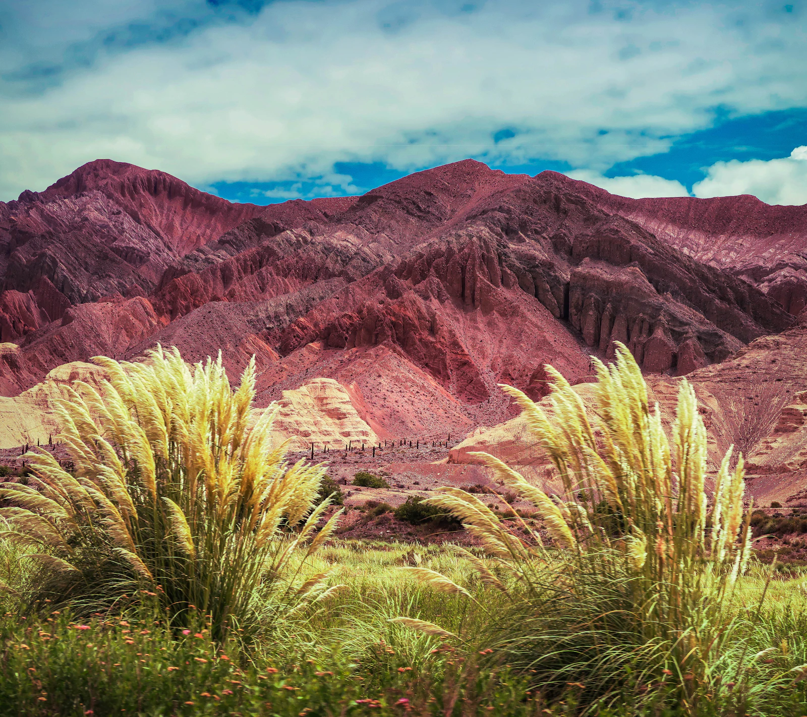Salta, Argentina photo 28 by Hector Ramon Perez