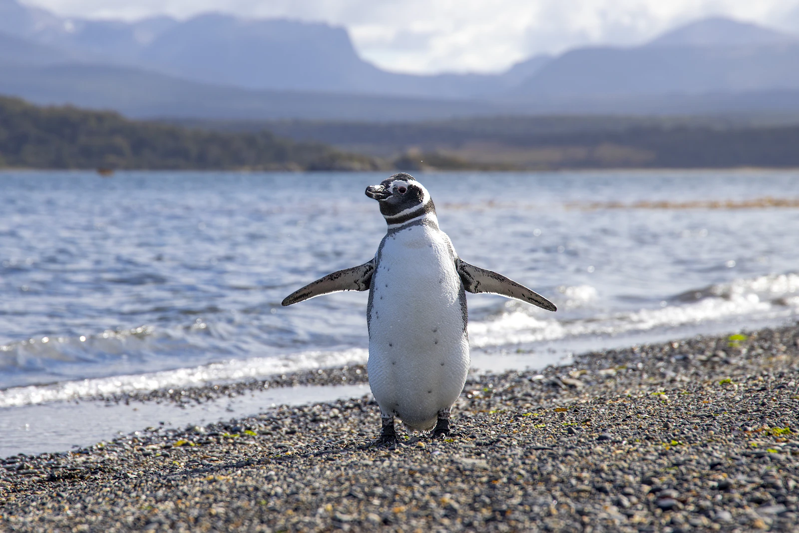 Ushuaia, Argentina photo 3 by Sander Crombach