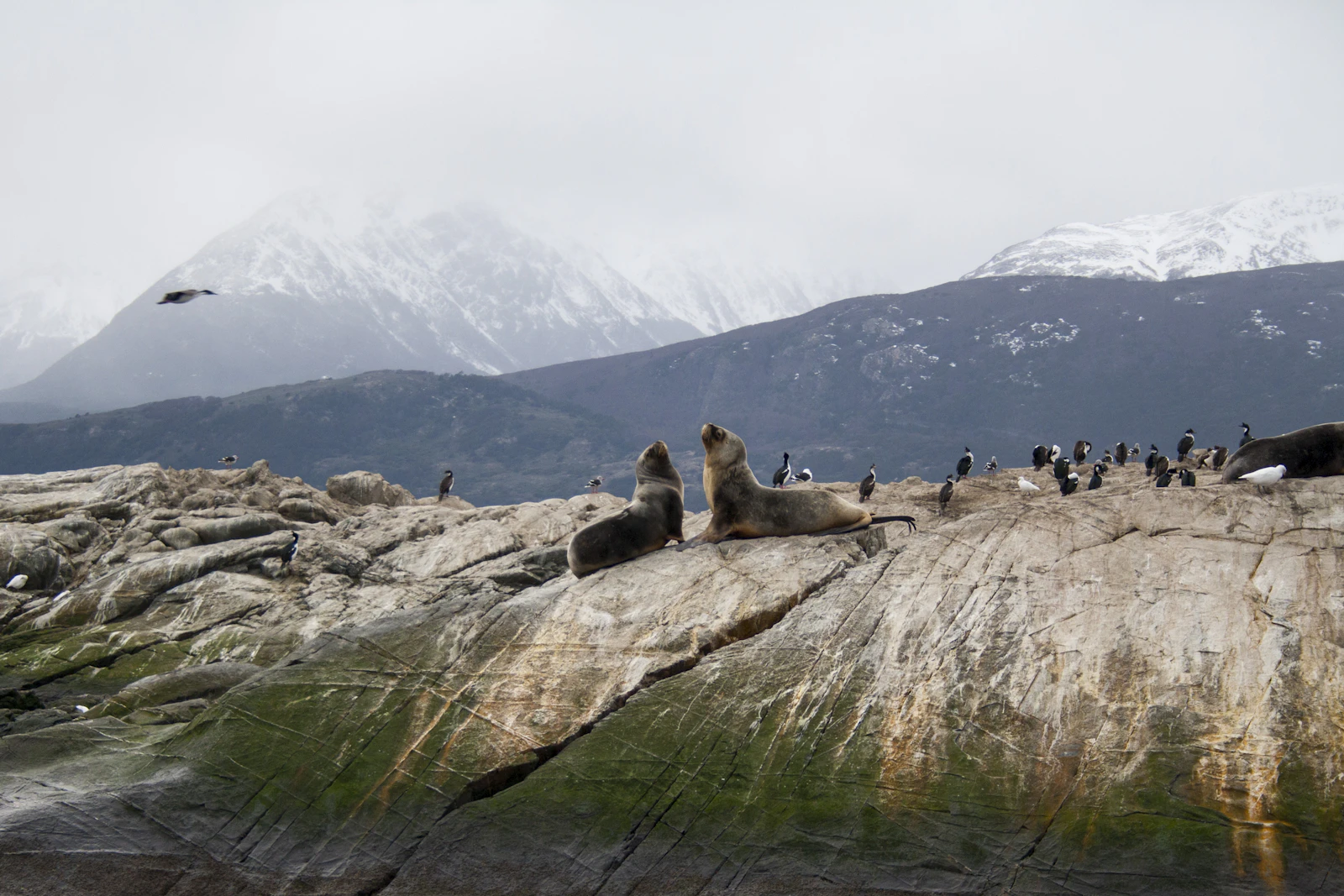 Ushuaia, Argentina photo 14 by Miriam Duran