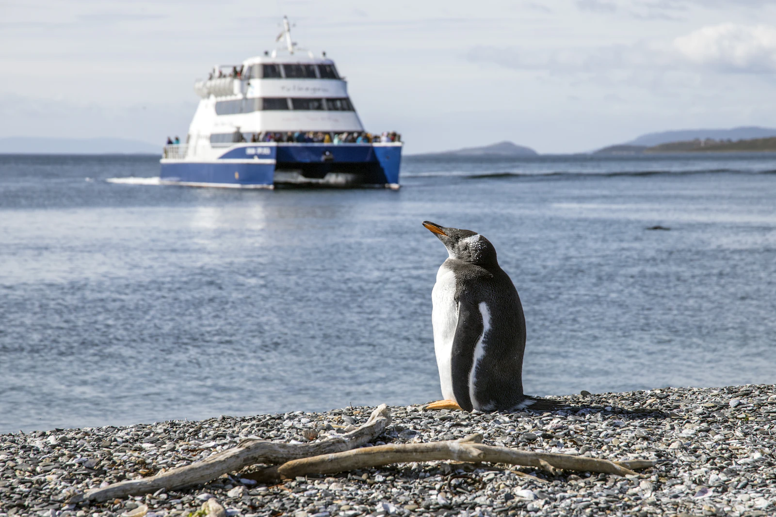 Ushuaia, Argentina photo 23 by Sander Crombach