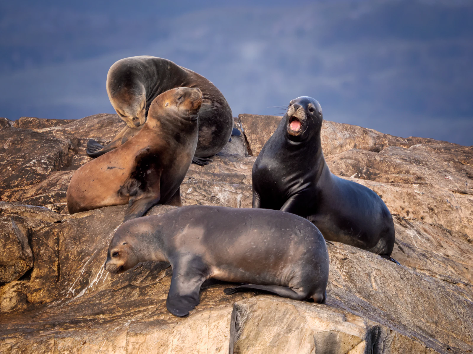 Ushuaia, Argentina photo 21 by William Warby