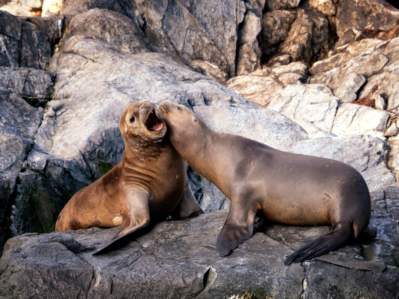 Ushuaia, Argentina photo 18 by William Warby