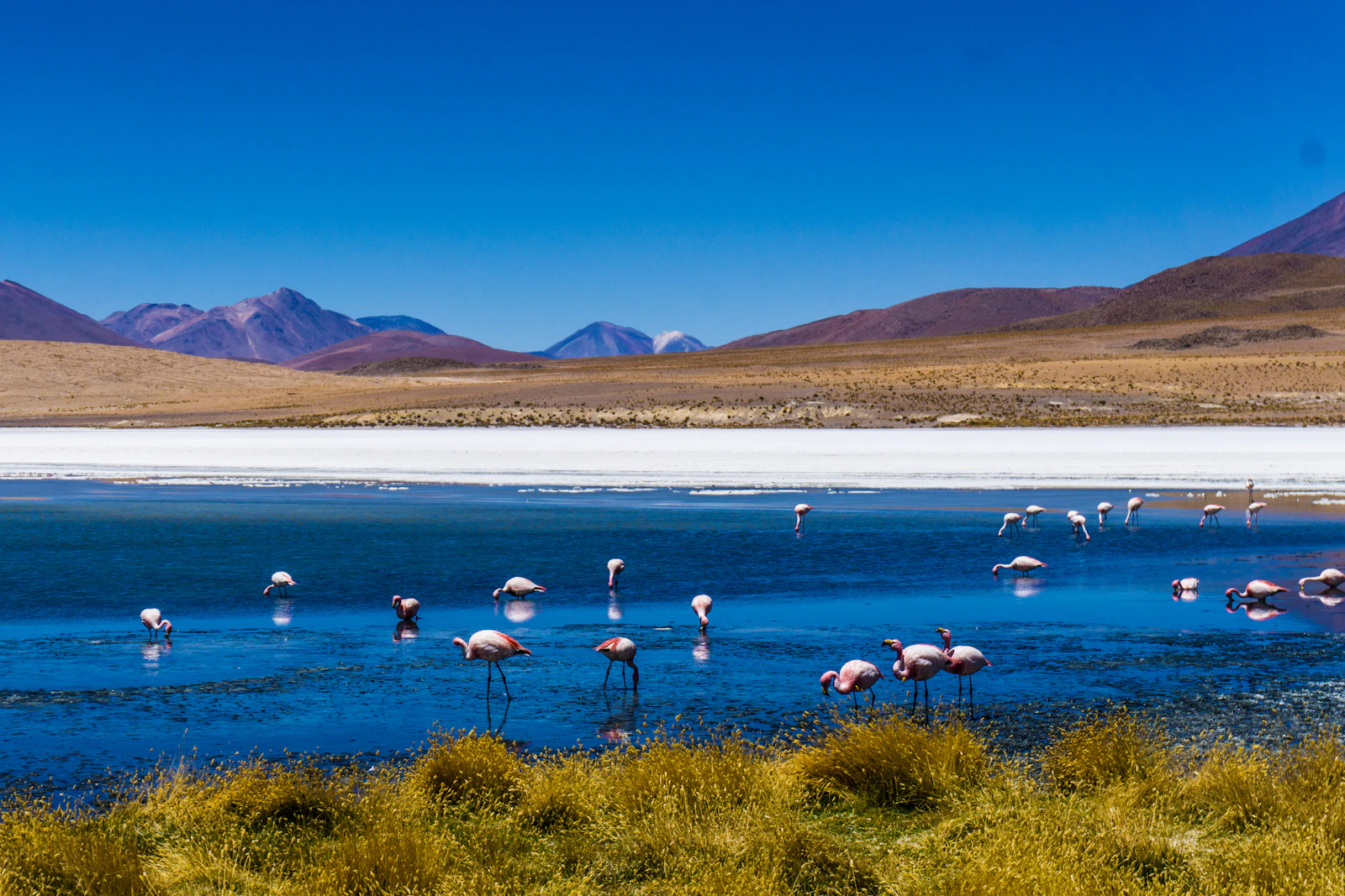 Uyuni, Bolivia photo 3 by Guille Álvarez