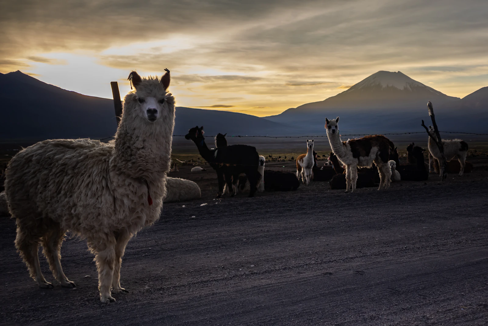 Uyuni, Bolivia photo 18 by Cristhian Guzmán