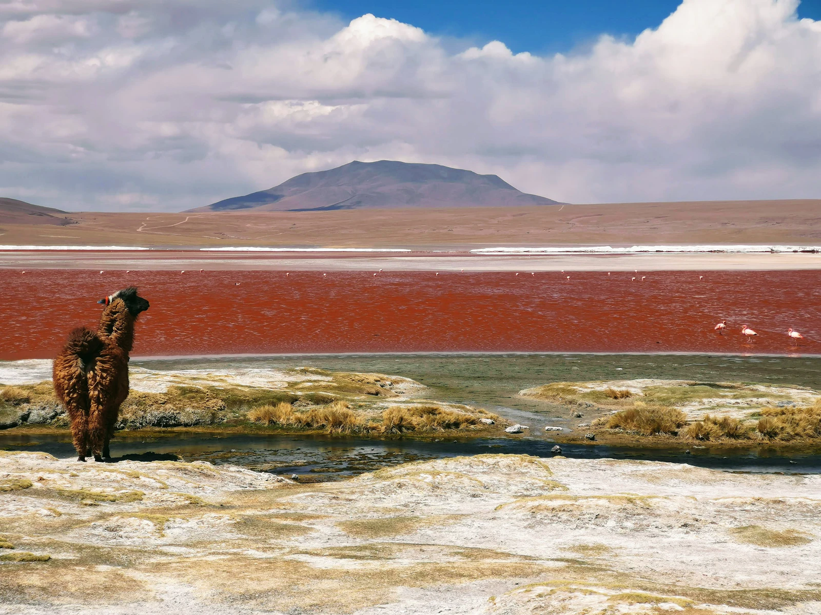 Uyuni, Bolivia photo 11 by Mariana Proença