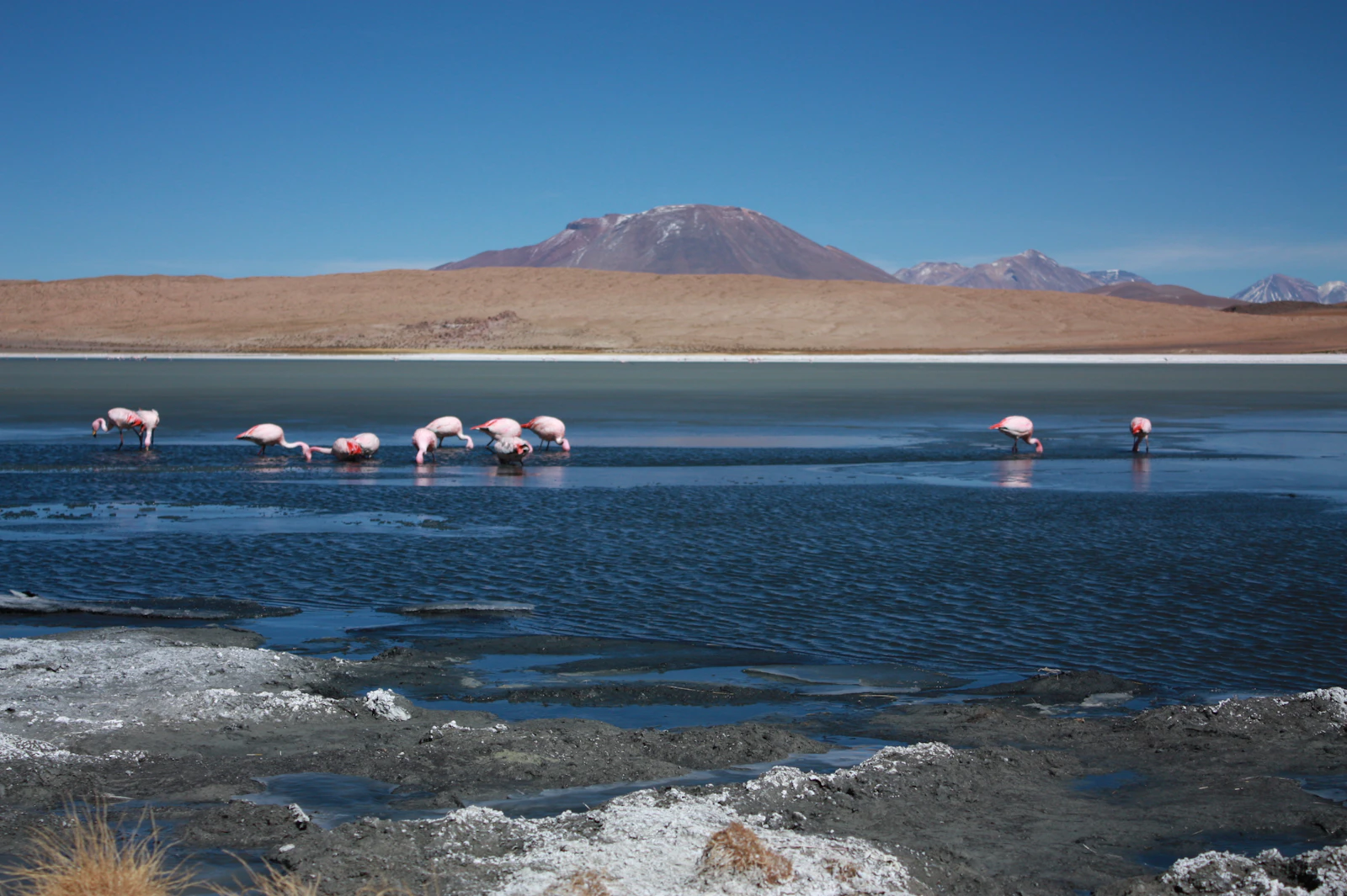 Uyuni, Bolivia photo 25 by Julie Ricard