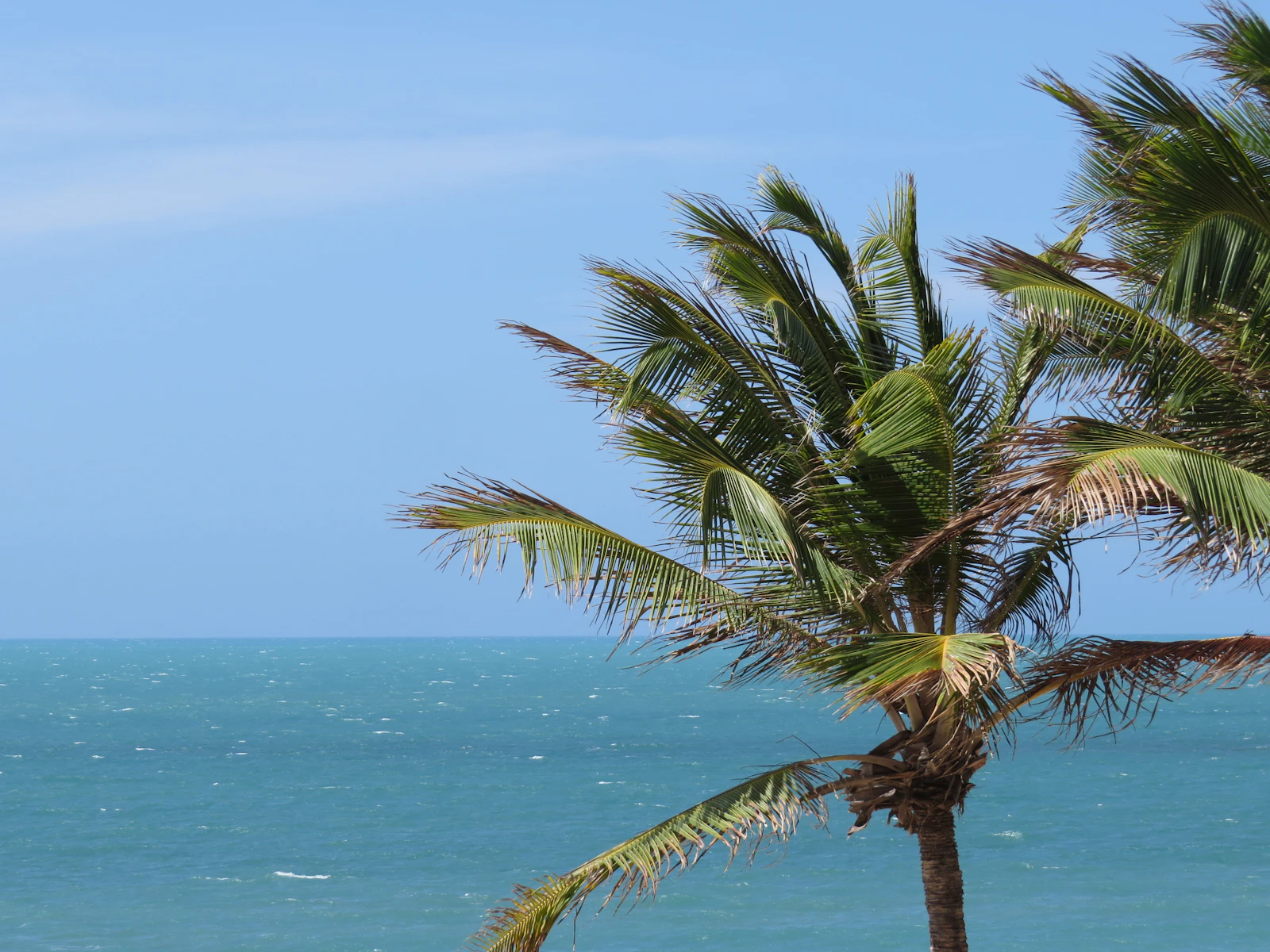 Fortaleza, Brazil photo 4 by Jaime Dantas