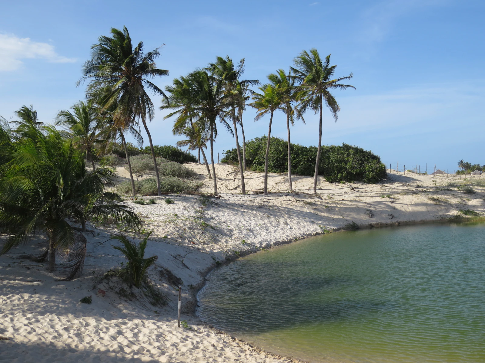 Fortaleza, Brazil photo 11 by Jaime Dantas