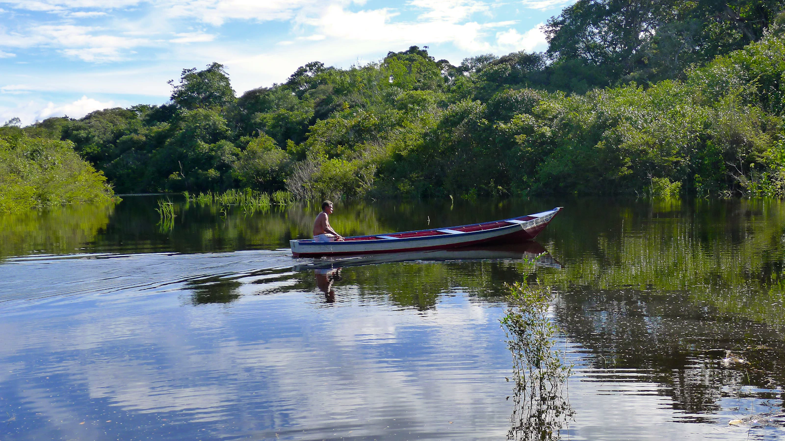 Manaus, Brazil photo 4 by gustavo nacht