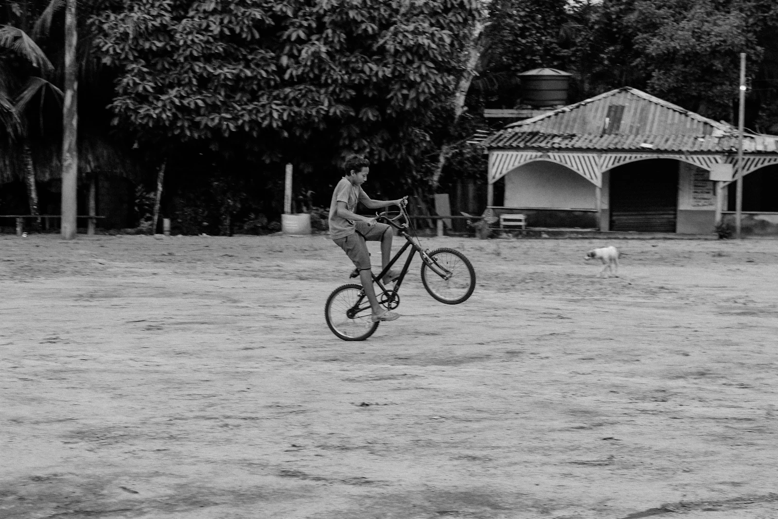 Manaus, Brazil photo 22 by Nayani Teixeira
