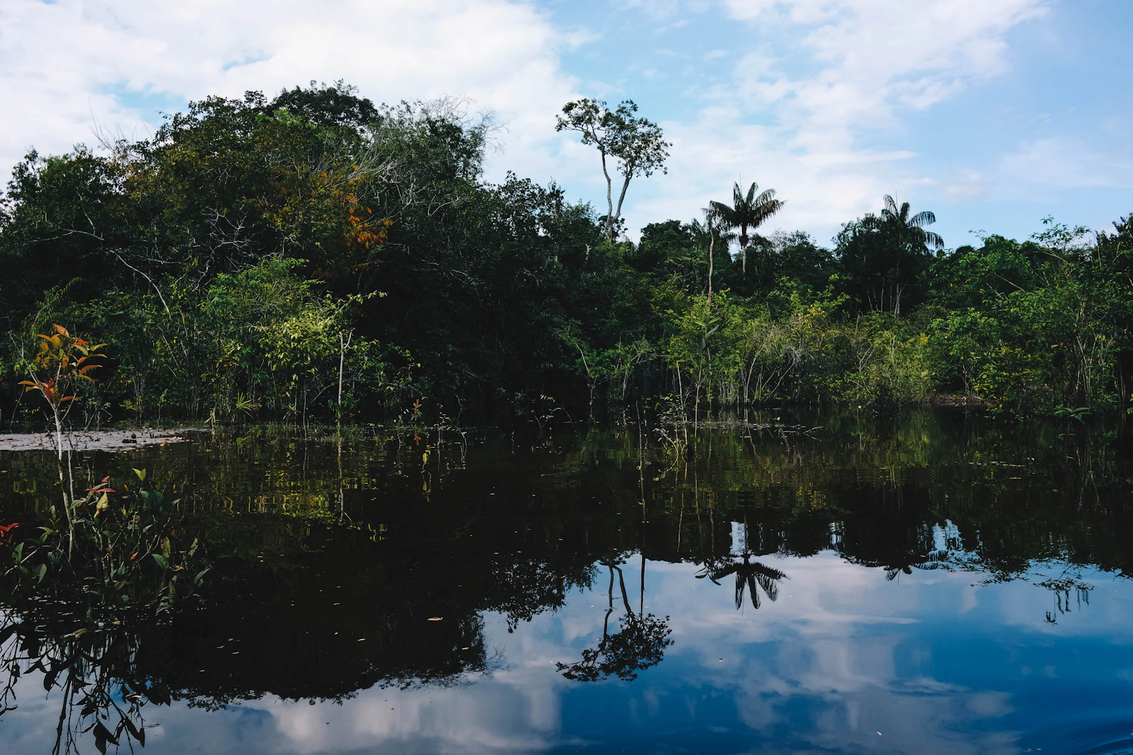 Manaus, Brazil photo 2 by James Cheung