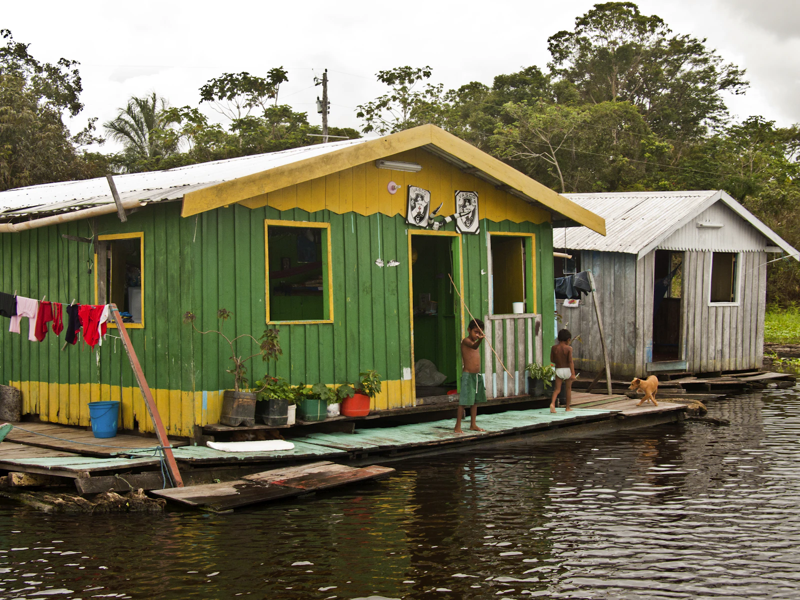 Manaus, Brazil photo 10 by gustavo nacht