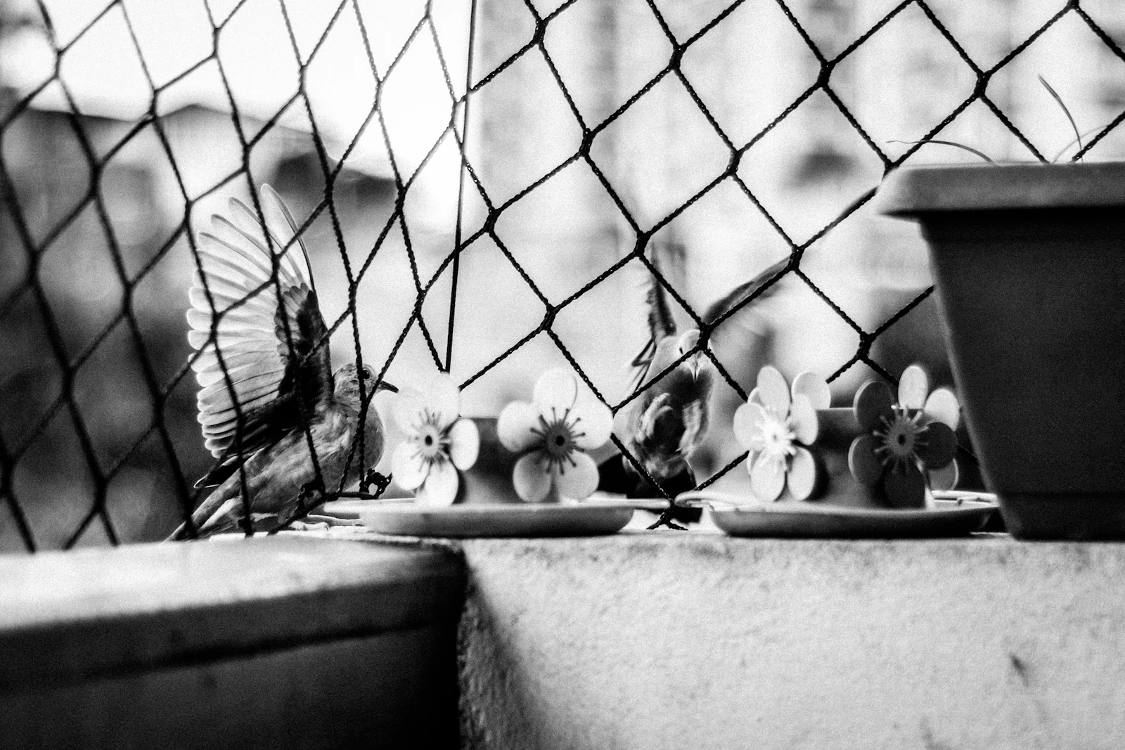 Salvador, Brazil photo 23 by Dayse Cardoso