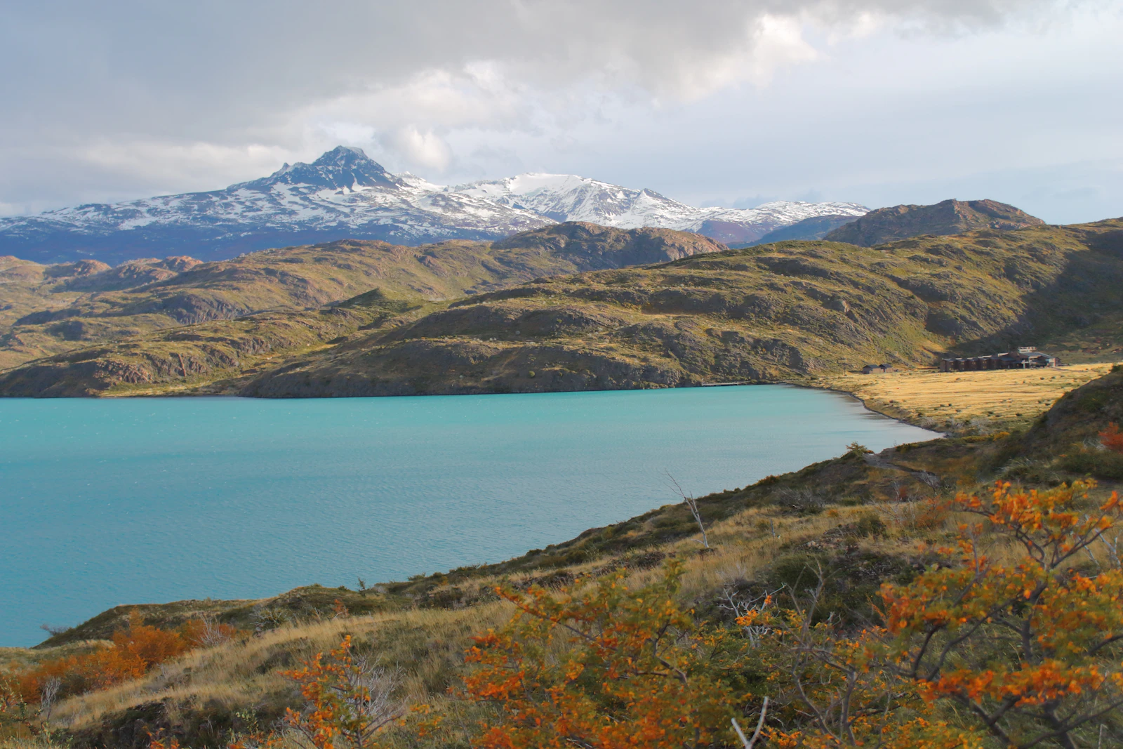 Puerto Natales, Chile photo 4 by Karla Robinson
