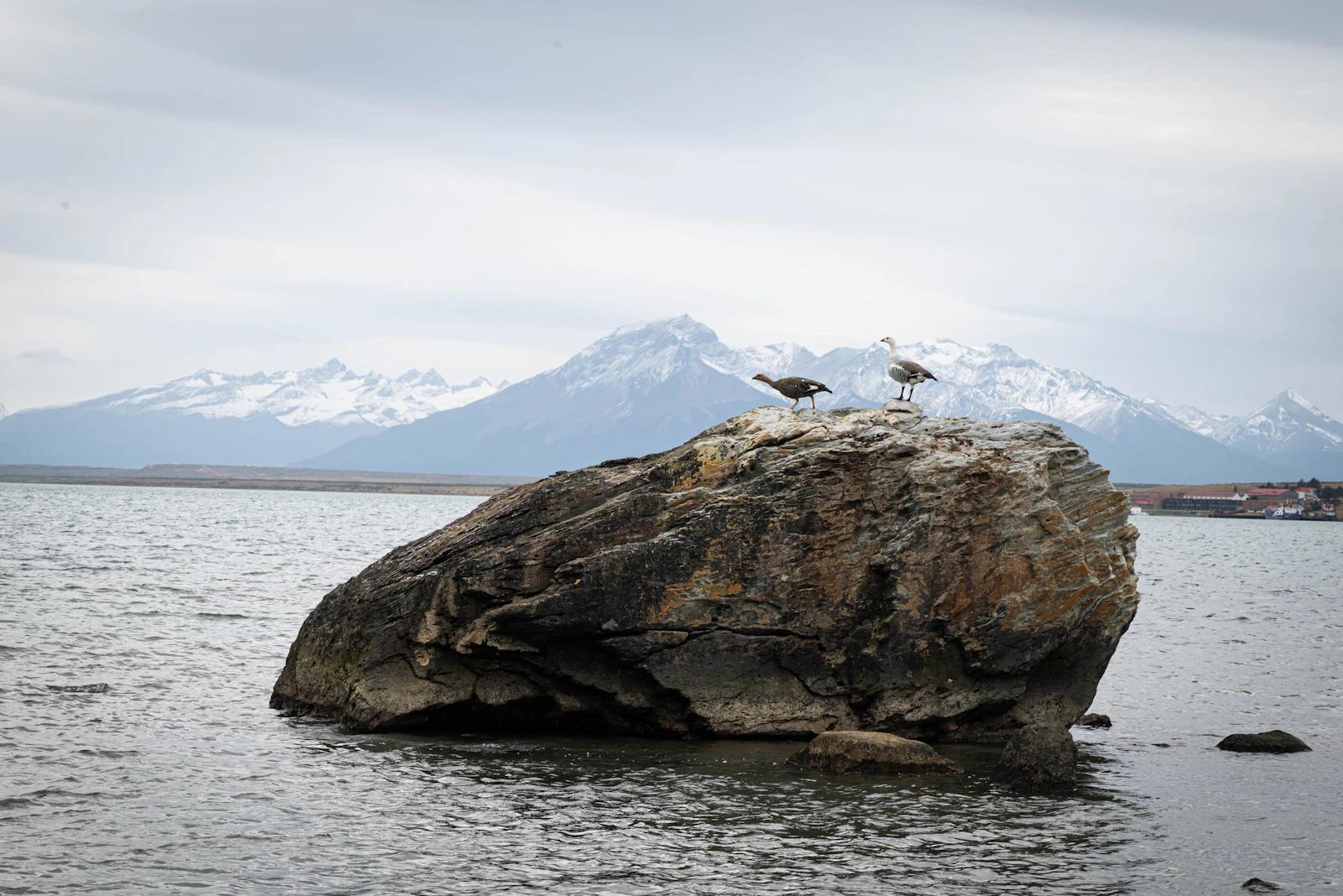 Puerto Natales, Chile photo 10 by Alan Veas