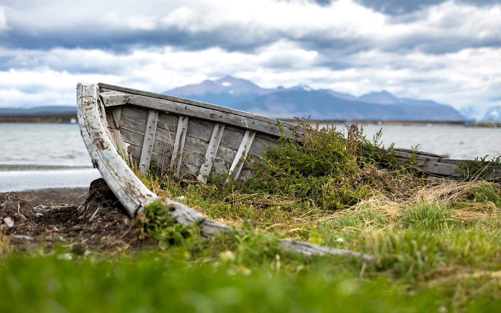 Puerto Natales, Chile photo 13 by Marek Piwnicki