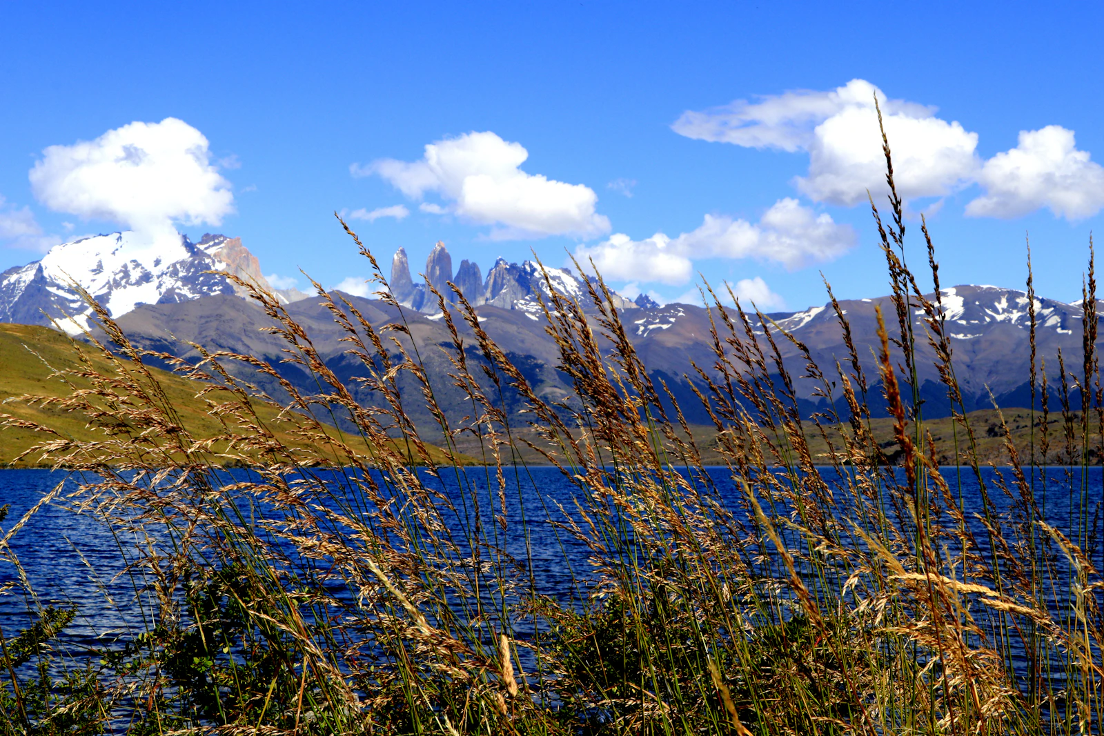 Puerto Natales, Chile photo 11 by Luiza Braun