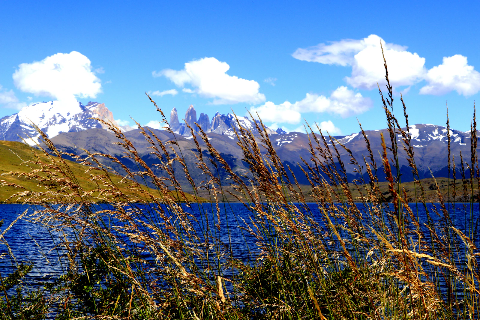 Puerto Natales, Chile photo 7 by Luiza Braun