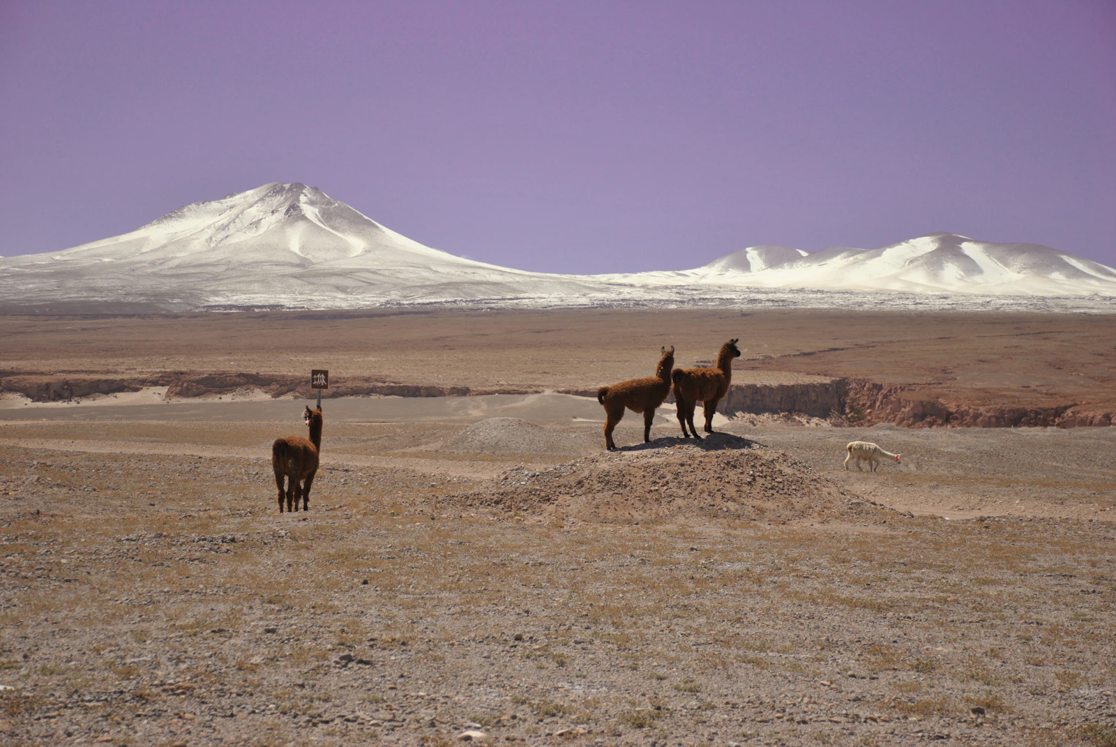 San Pedro de Atacama, Chile photo 25 by Alex Wolowiecki
