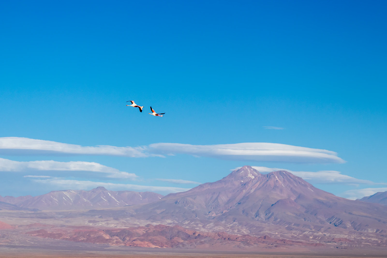 San Pedro de Atacama, Chile photo 26 by Sandro Schuh