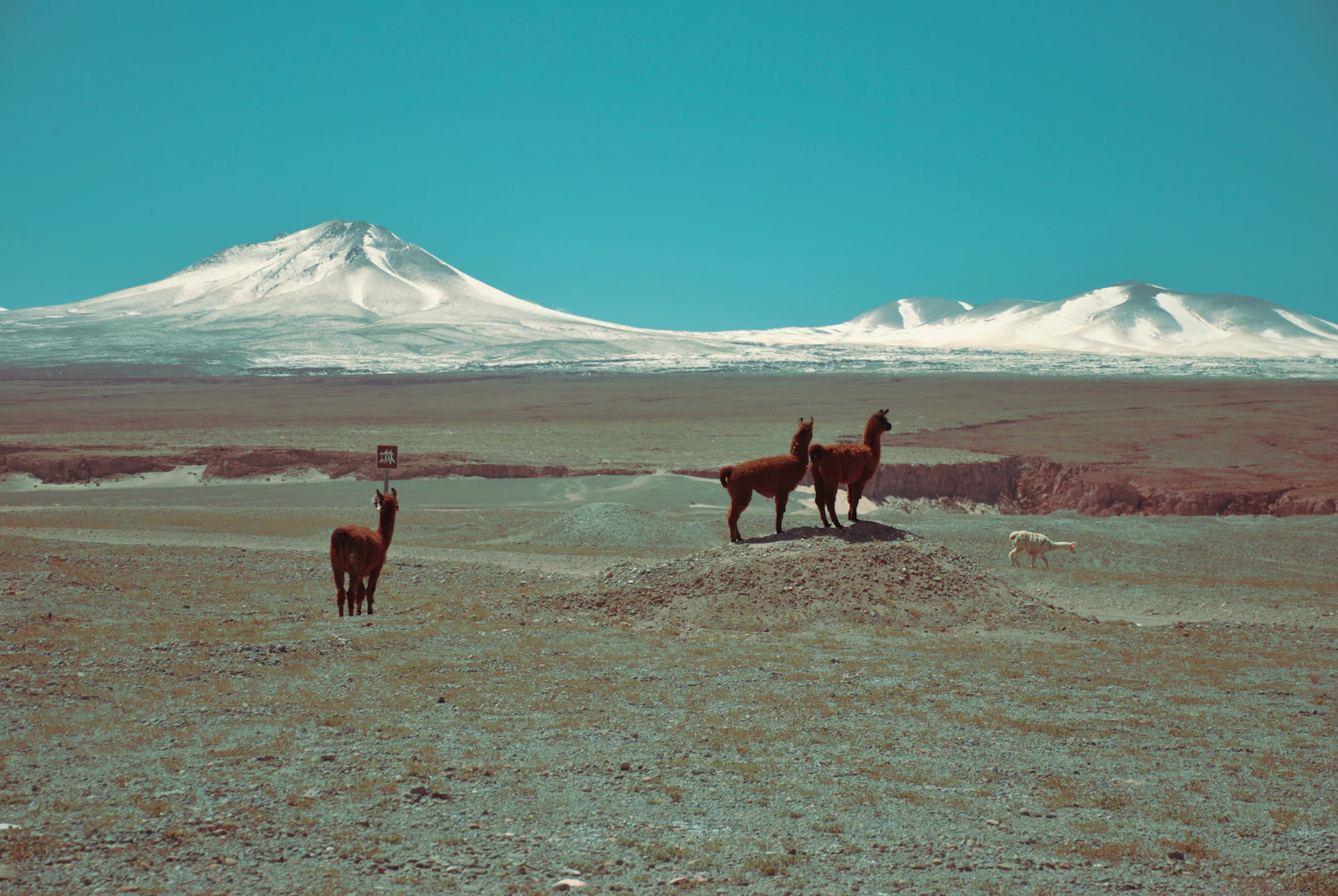 San Pedro de Atacama, Chile photo 5 by Alex Wolowiecki