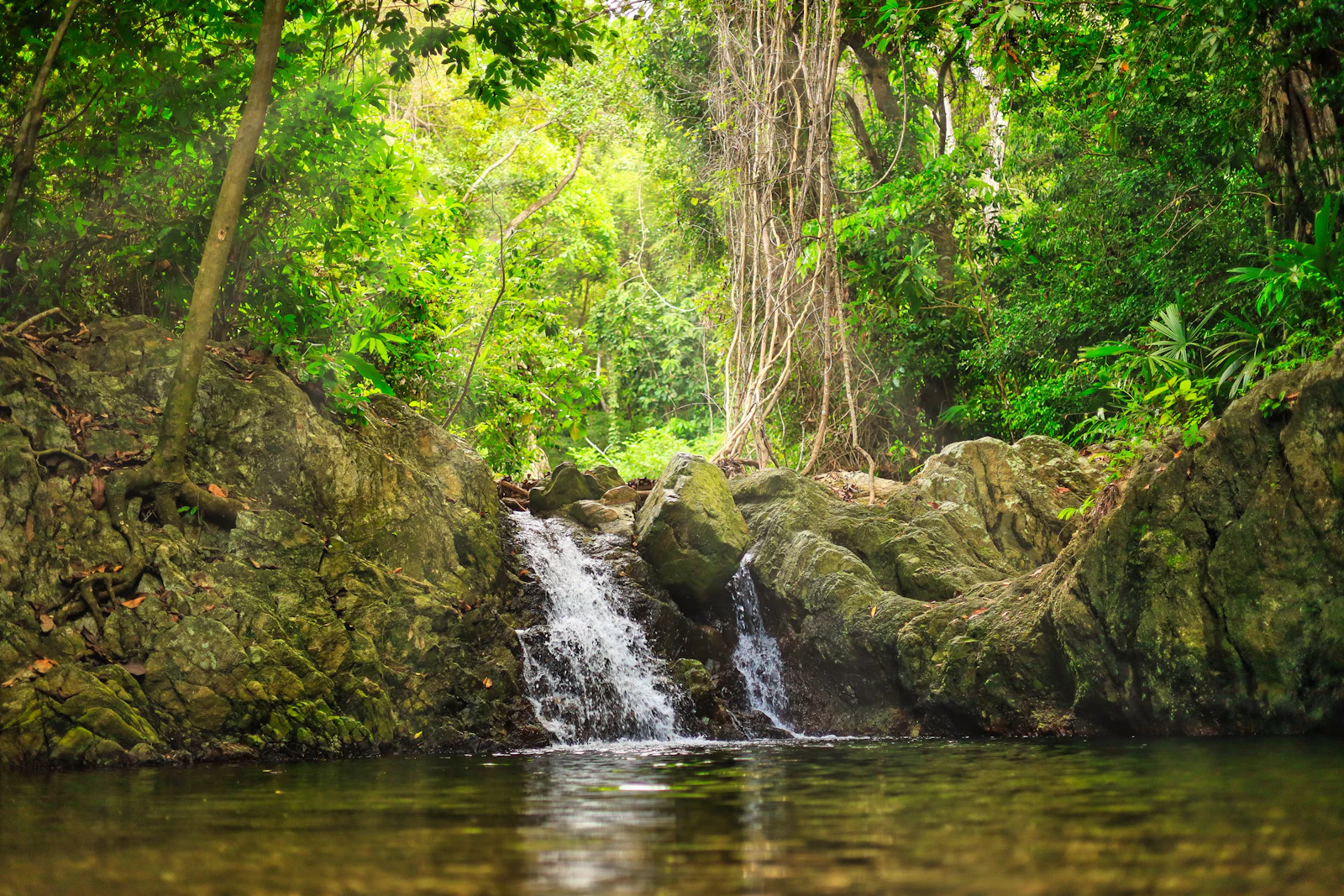 Santa Marta, Colombia photo 28 by Chema Photo