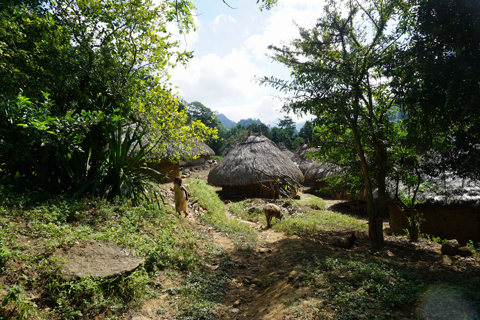 Santa Marta, Colombia photo 11 by Datingjungle