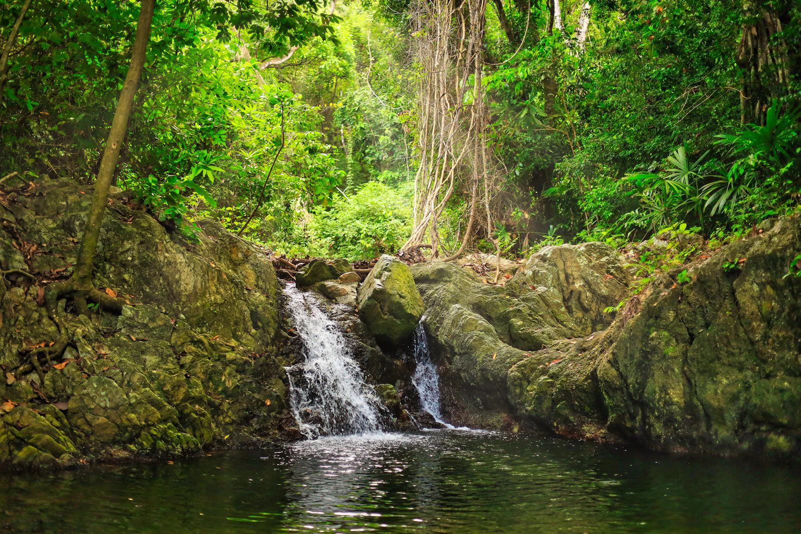 Santa Marta, Colombia photo 29 by Chema Photo