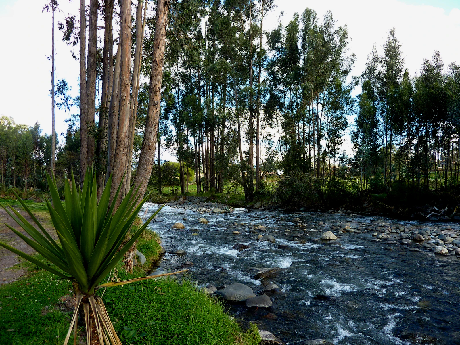 Cuenca, Ecuador photo 7 by Rolando Lebed