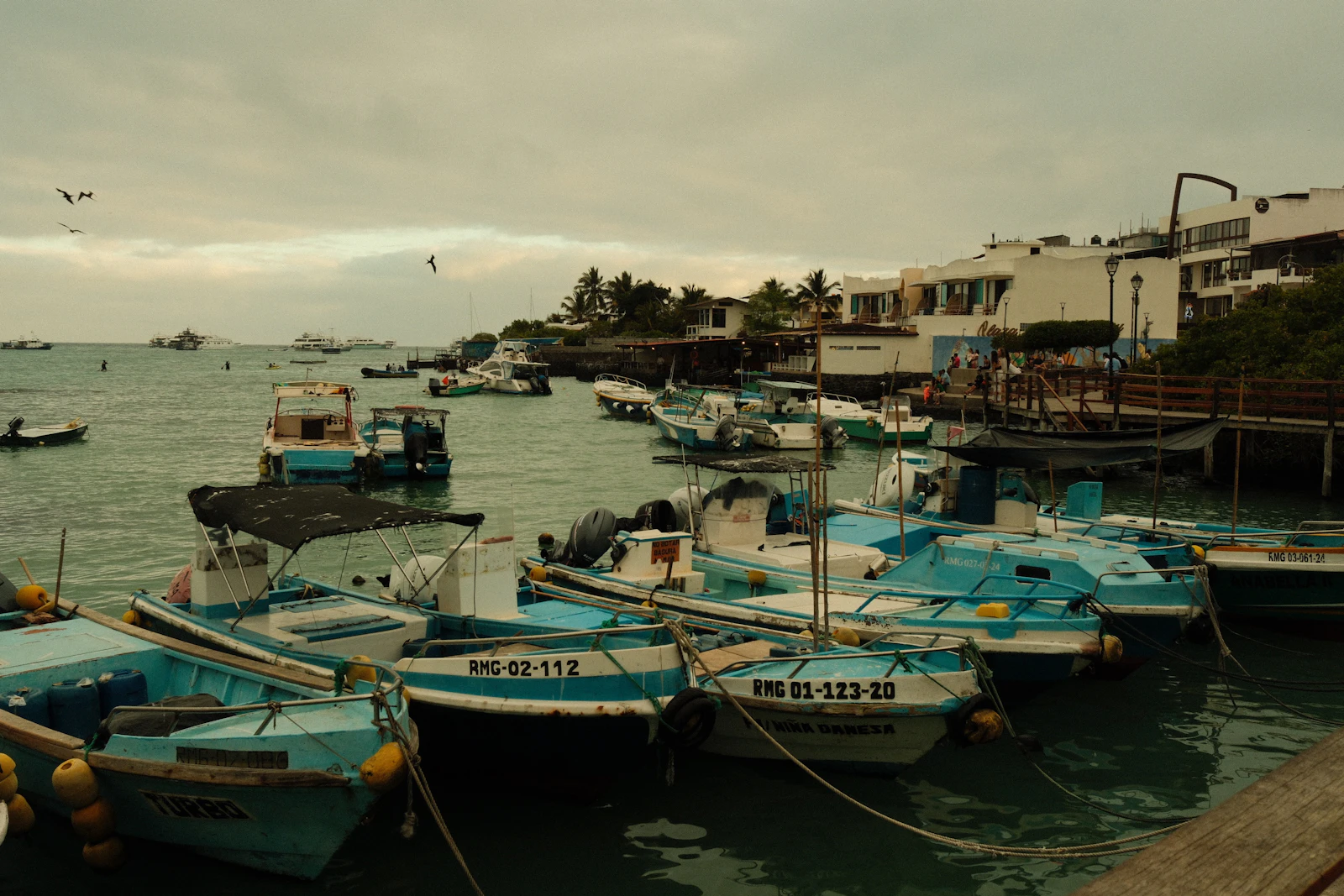 Puerto Ayora, Ecuador photo 7 by Oskar Jabłoński