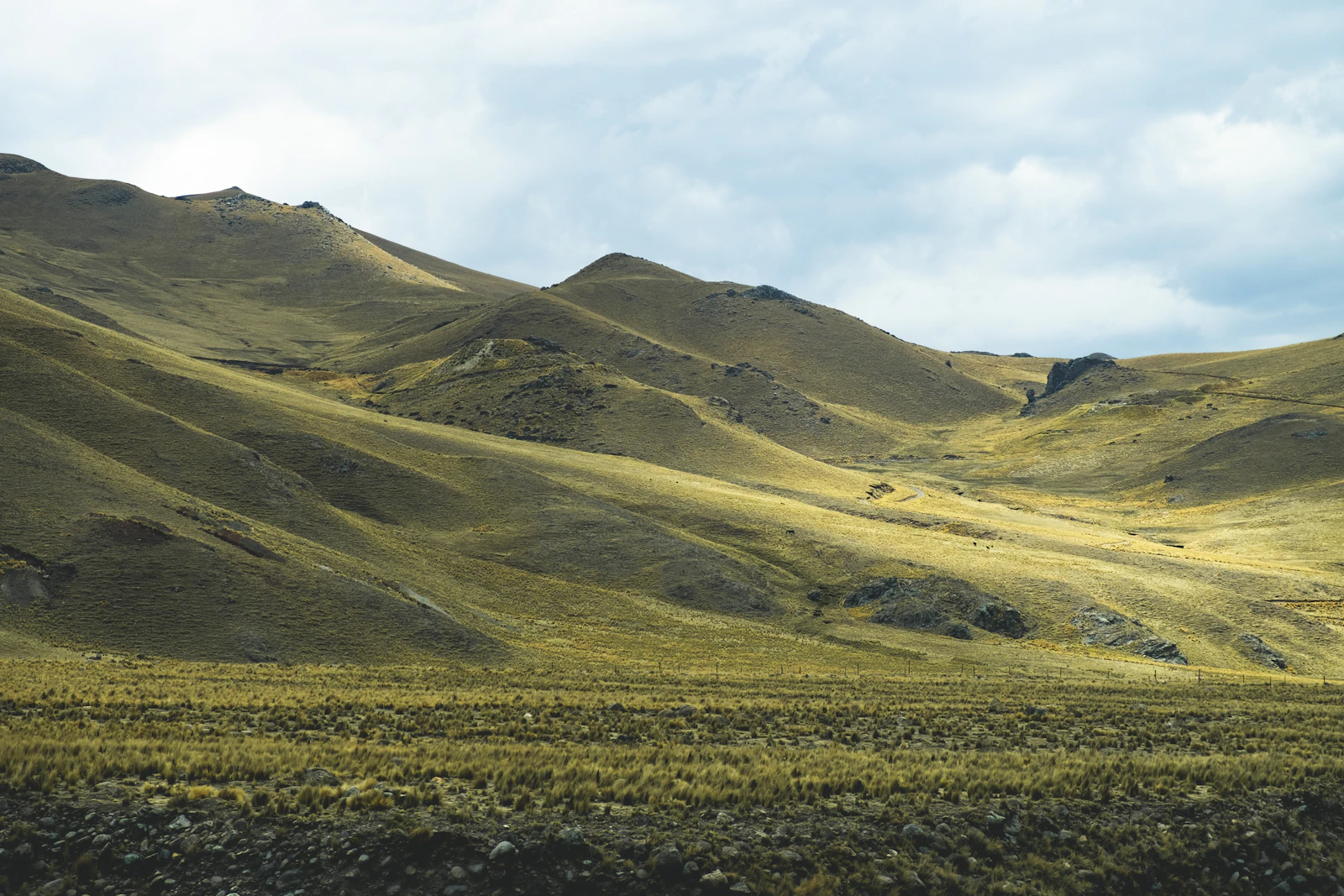 Arequipa, Peru photo 26 by Sander Lenaerts