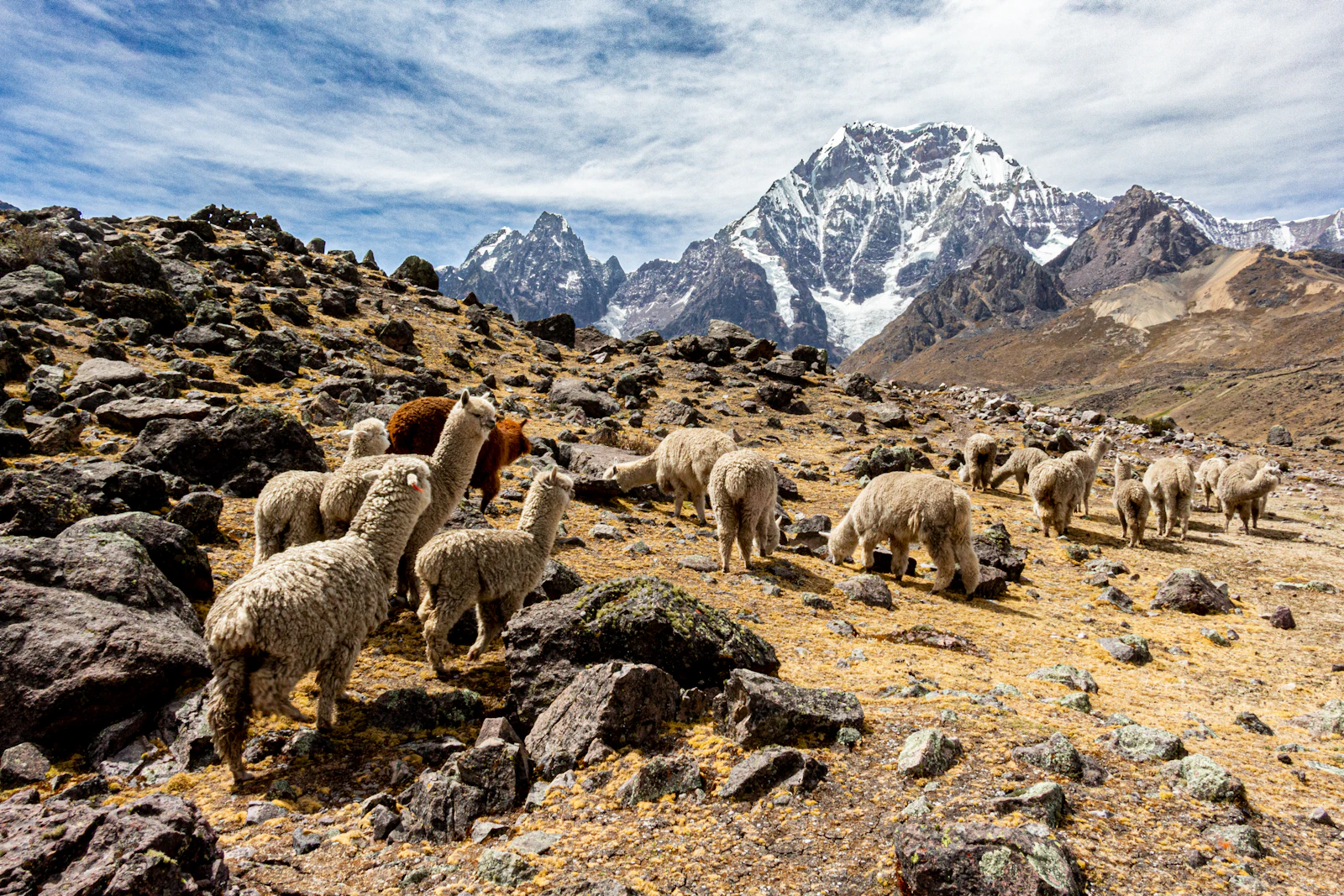 Cusco, Peru photo 13 by Rodrigo Carrillo