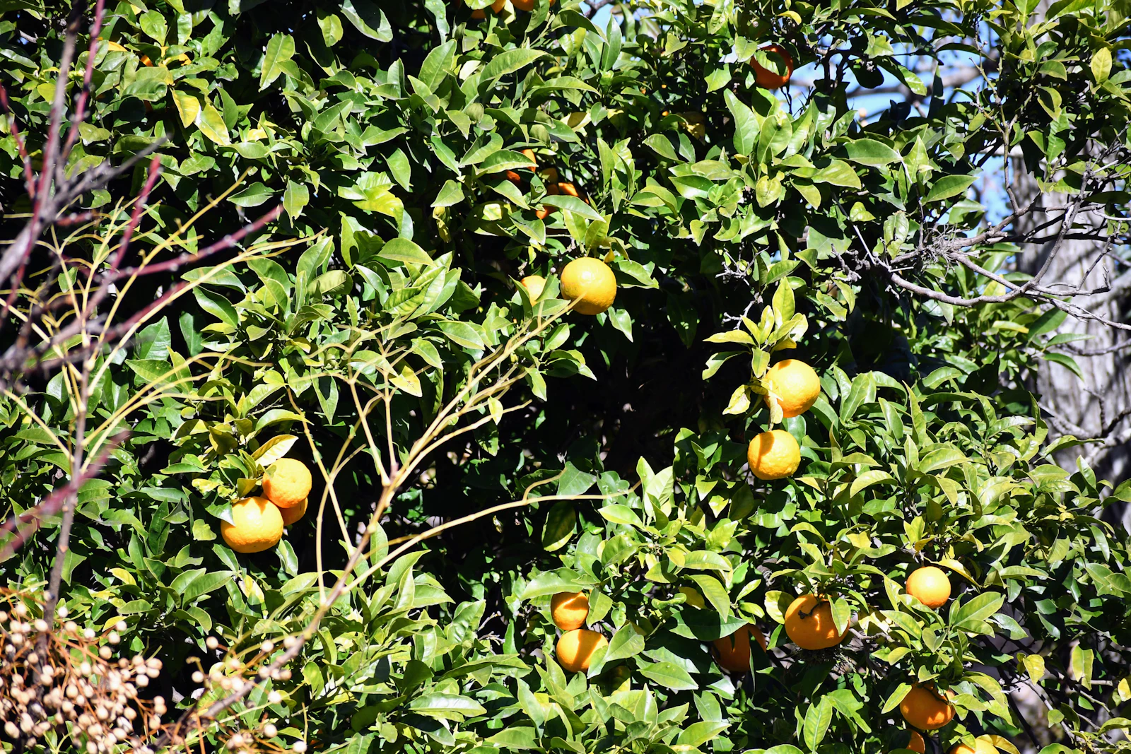 Colonia del Sacramento, Uruguay photo 28 by Paul