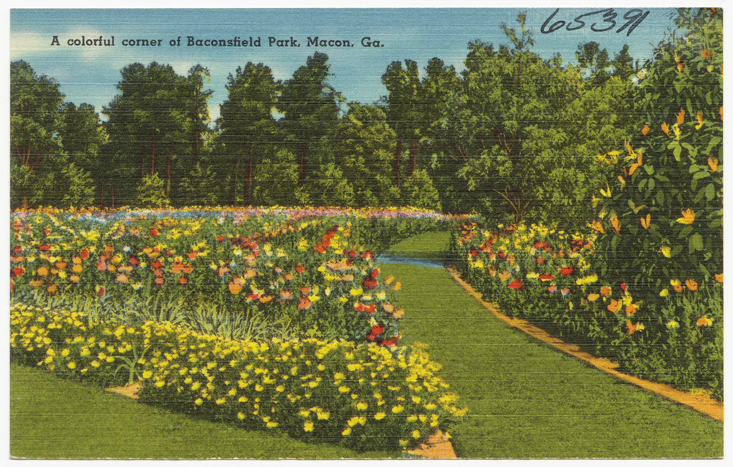 A vibrant display of colorful flowers in a corner of Baconsfield Park, surrounded by lush greenery.