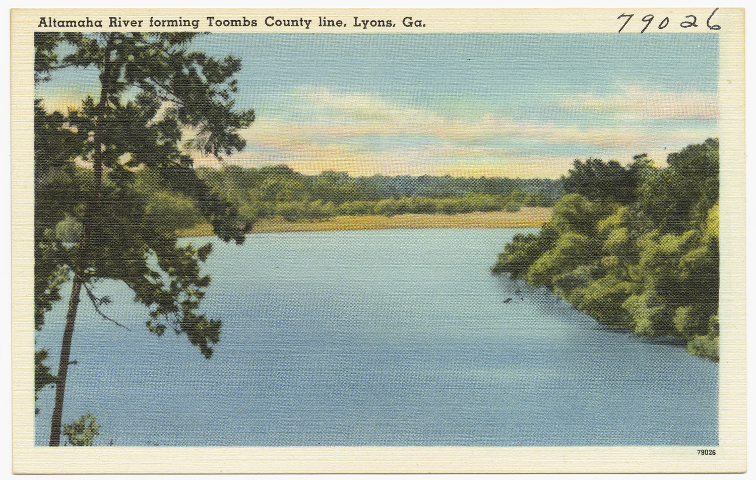 A scenic view of the Altamaha River forming the Toombs County line near Lyons, Georgia.